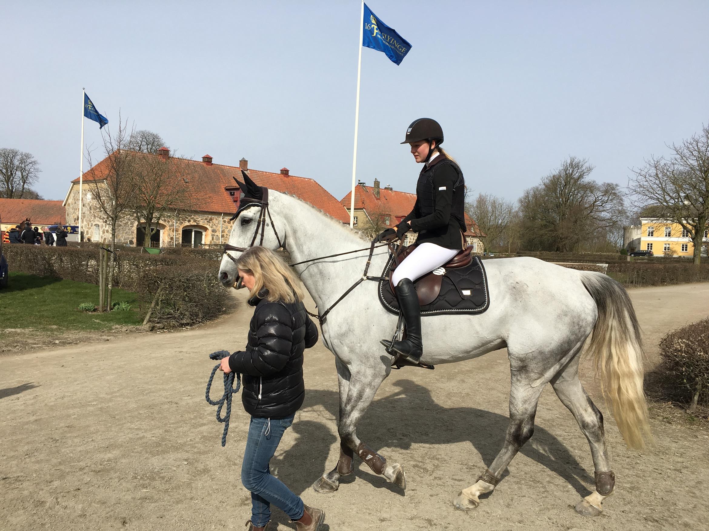 Vincent Vega, valack, född 2008, e. Carland, u. Etrusco